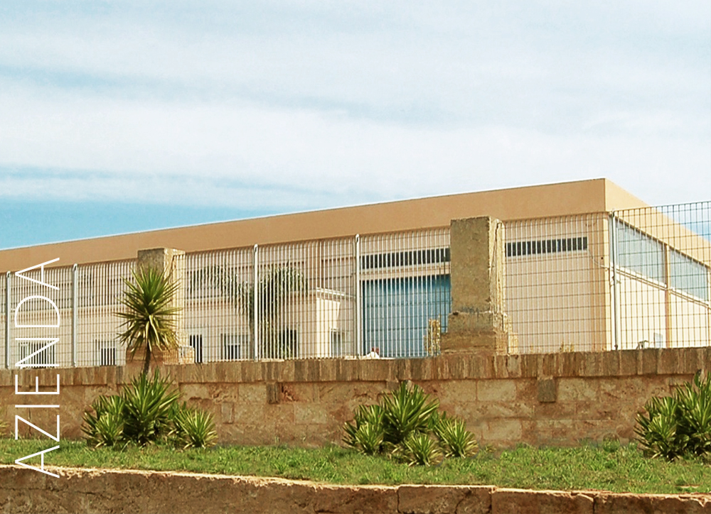 L'azienda